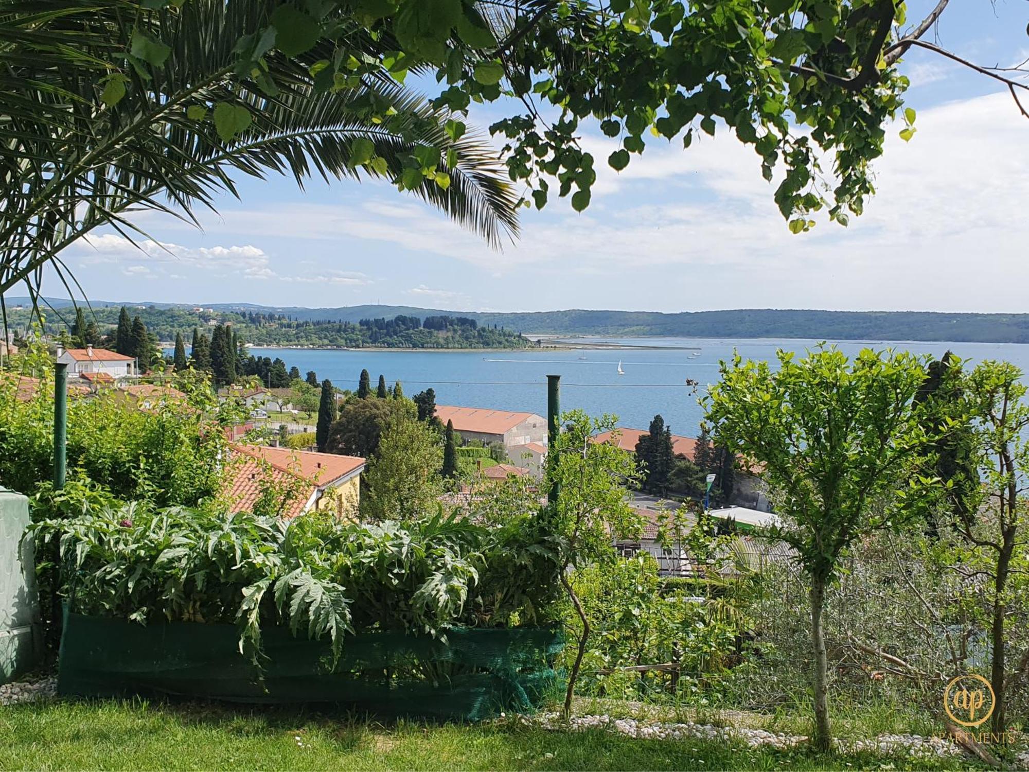 Apartment With Seaview And Garden For 6 포르토로즈 외부 사진